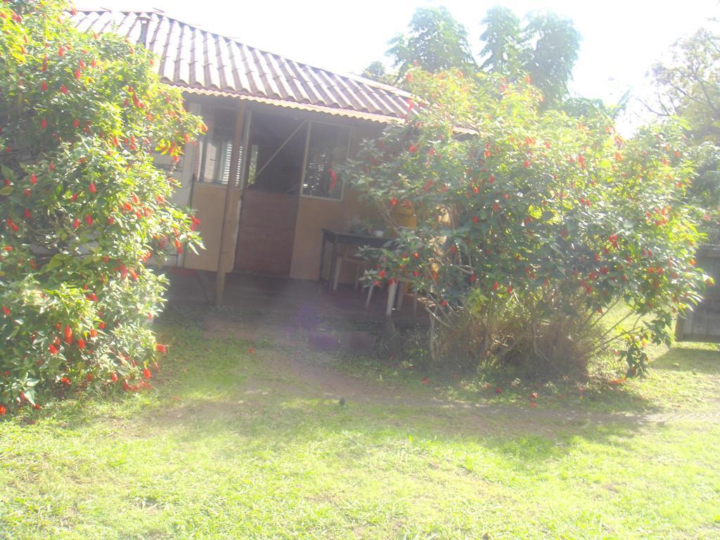 Cabanas Varua Hanga Roa Cameră foto