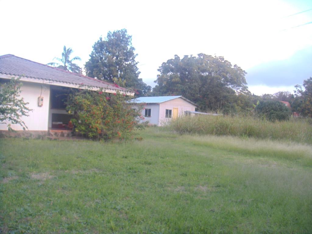 Cabanas Varua Hanga Roa Cameră foto